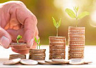 Кредитование сезонных полевых работ увеличилось на 36,3% Кредитование сезонных полевых работ увеличилось на 36,3%